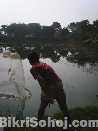 51 শতাৎশ পুকুর জমি